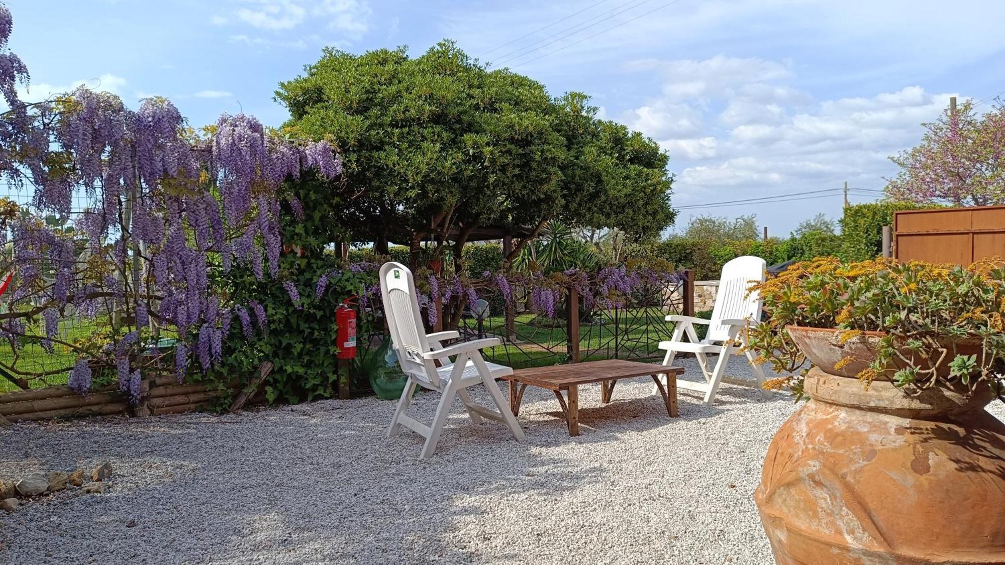 Belloretta Donoratico Dış mekan fotoğraf